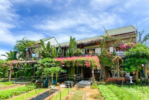 Premises For Rent In Beautiful Tra Que Herb Village, Hoi An ! ($2000)(hah635)