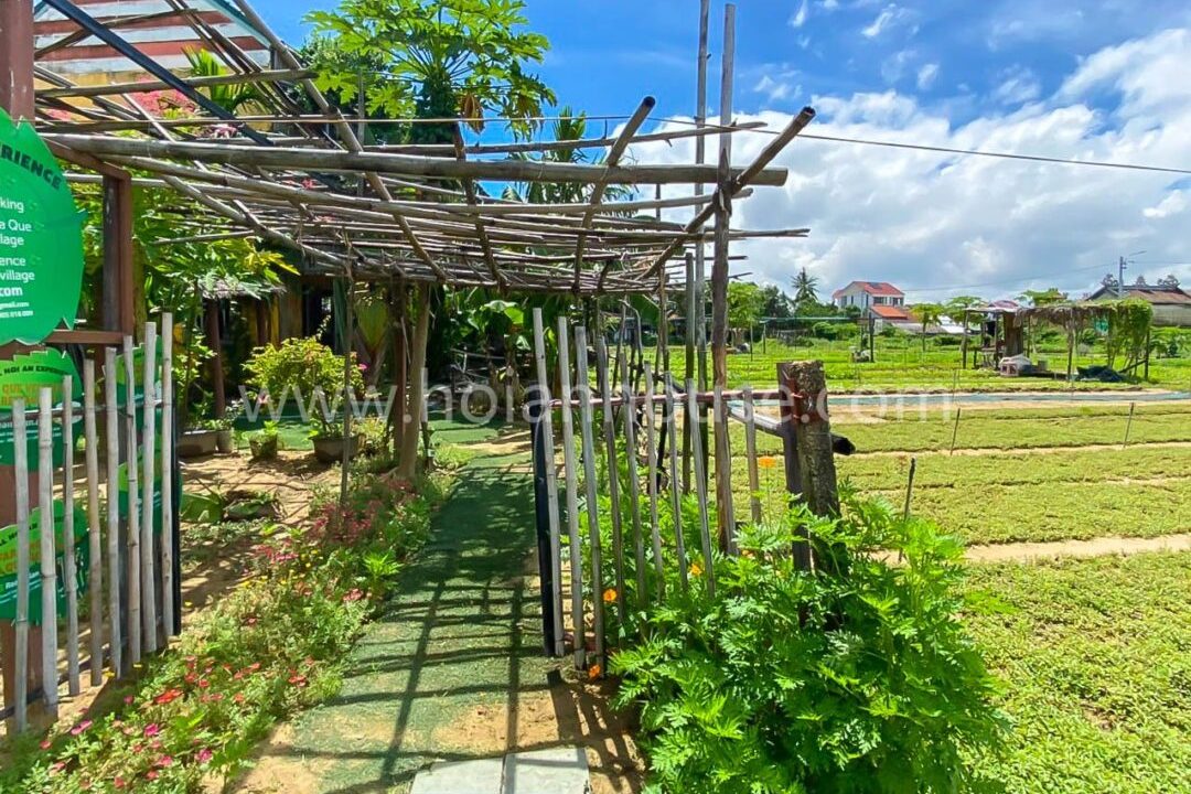 Premises For Rent In Beautiful Tra Que Herb Village, Hoi An ! ($2000)(hah635)