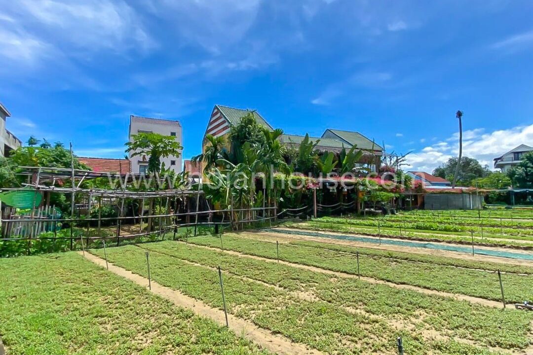 Premises For Rent In Beautiful Tra Que Herb Village, Hoi An ! ($2000)(hah635)