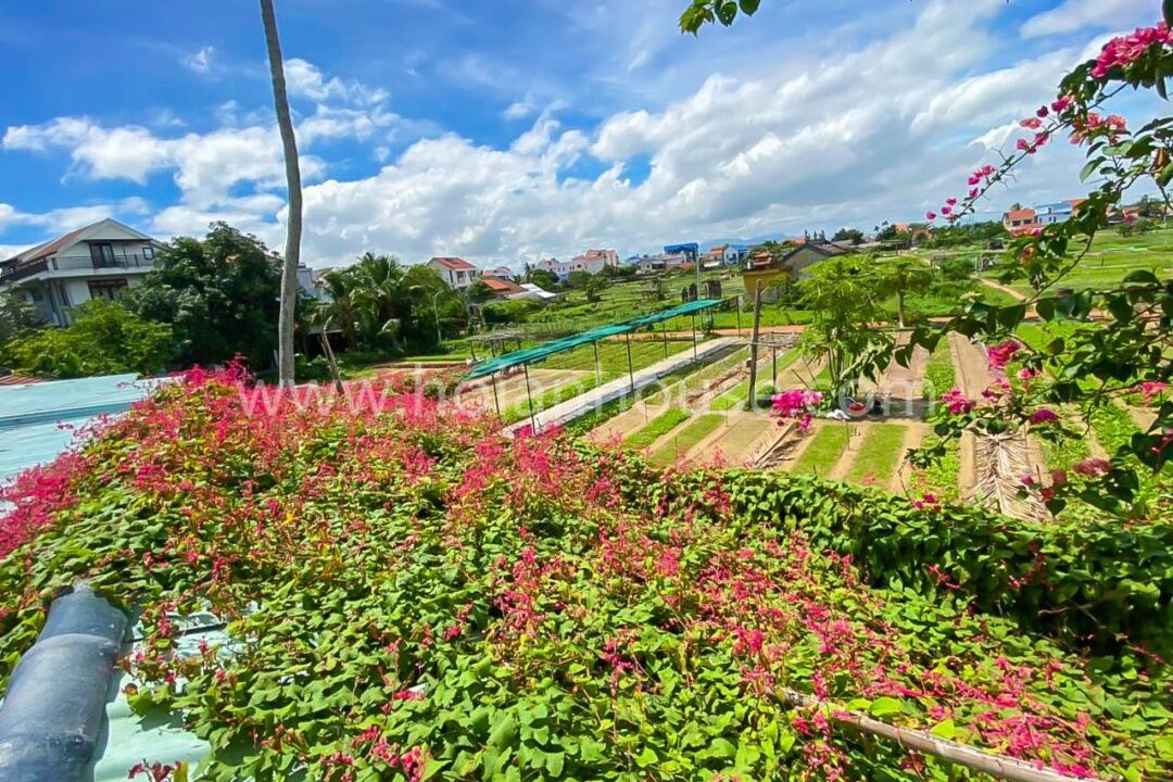 Premises For Rent In Beautiful Tra Que Herb Village, Hoi An ! ($2000)(hah635)