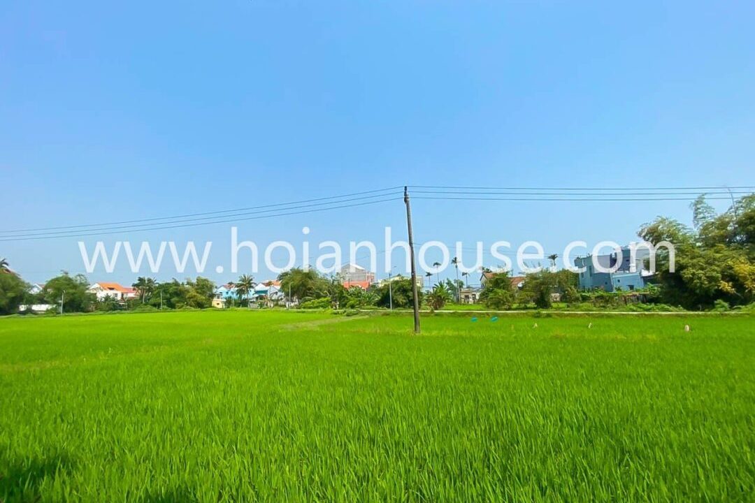 Studio Located In Beautiful An My With Nice Rice Paddy View For Rent In Cam Chau, Hoi An! (5,5 Million Vnd/month – Approximately 235 Usd)(hah568)