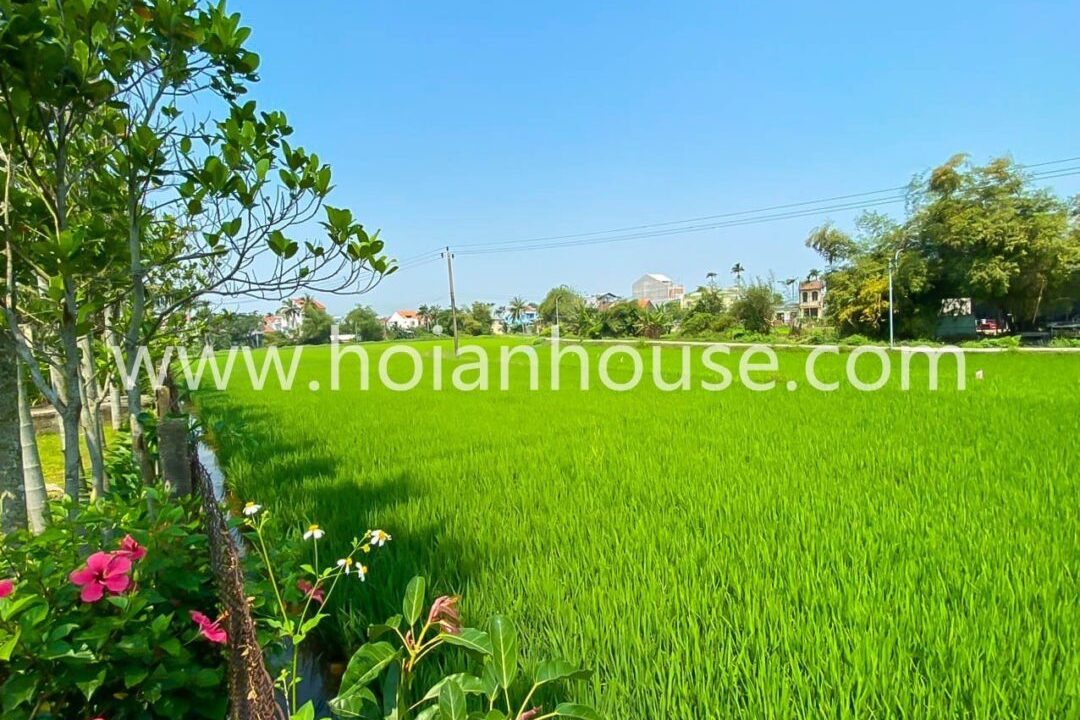 Delightful 2 Bedroom Apartment With A Pool Located In The Picturesque Area Of An My, Hoi An, Surrounded By Stunning Rice Fields(9 Million Vnd/month – Approximately $380)(hah646)