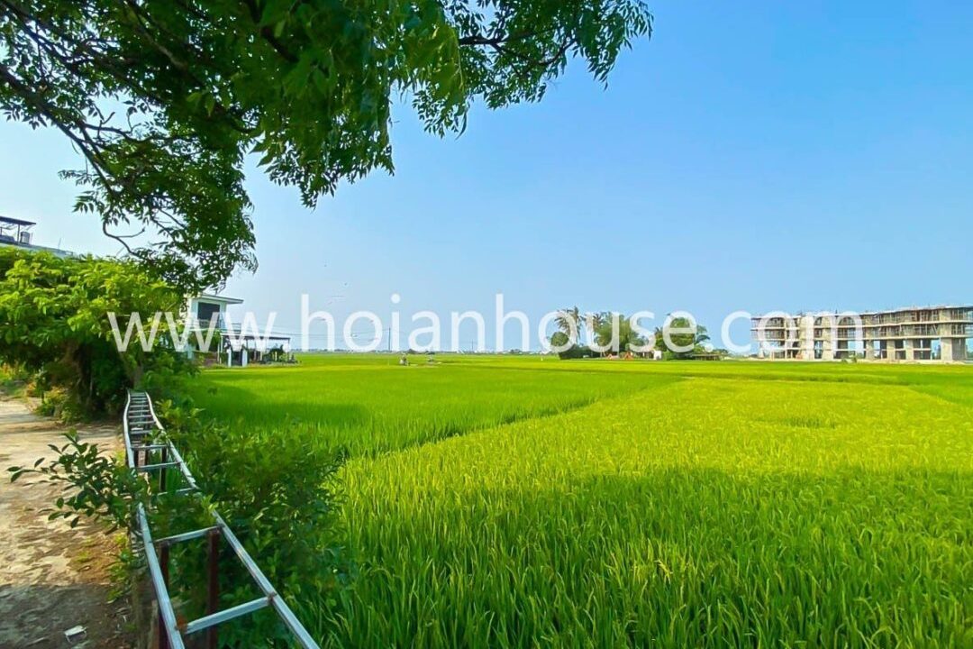 Commercial 12 Units Villa Located In The Heart Of Hoi An With Breathtaking View Is For Rent ( 50 Million Vnd/month – Approximately 2,200 Usd)(hah580)
