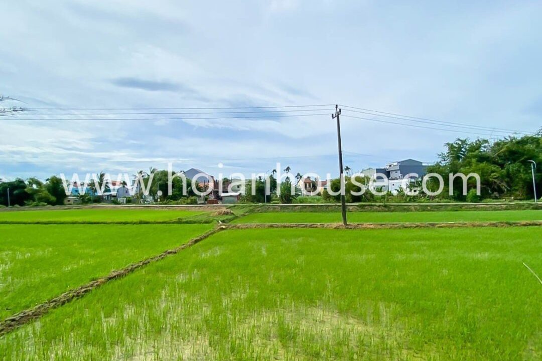Nice Studio Located In Beautiful An My With Swimming Pool And Nice Rice Paddy View For Rent In Cam Chau, Hoi An. (6 Million Vnd/month – Approximately 260 Usd)(hah637)