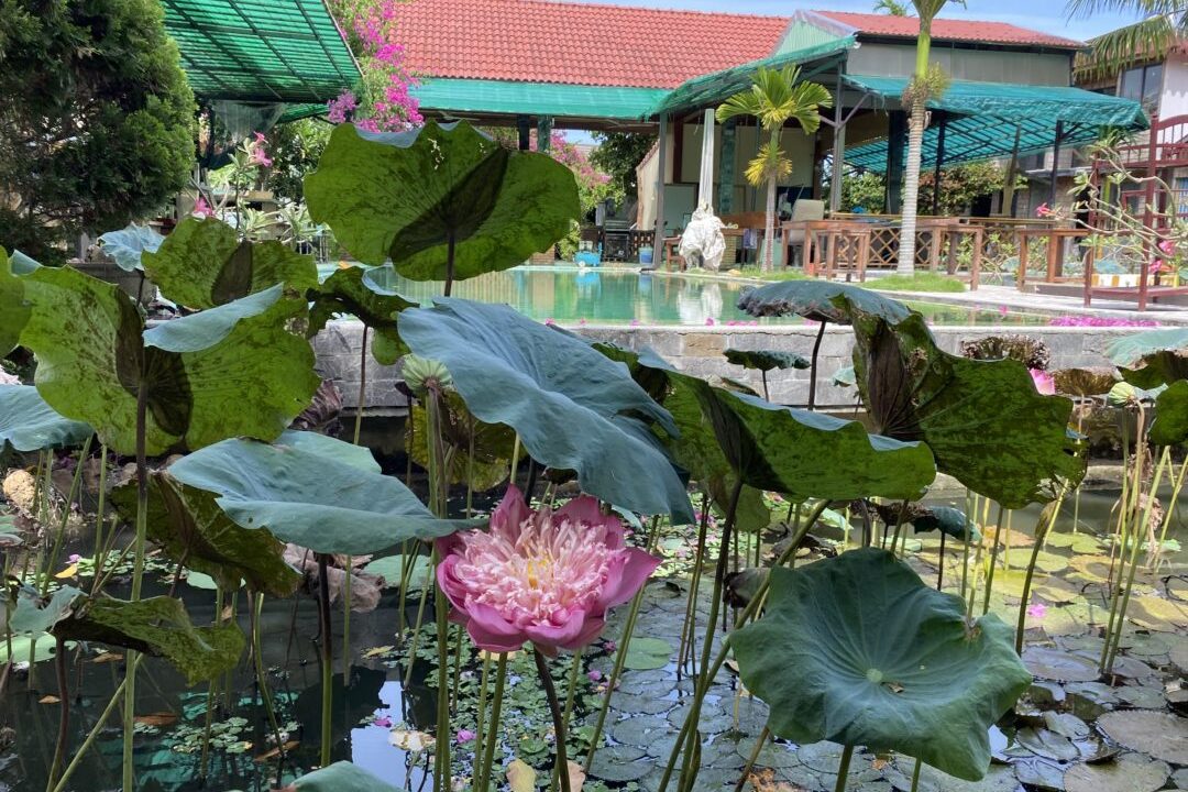Nice Studio Located In Beautiful An My With Swimming Pool And Nice Rice Paddy View For Rent In Cam Chau, Hoi An. (6 Million Vnd/month – Approximately 260 Usd)(hah637)