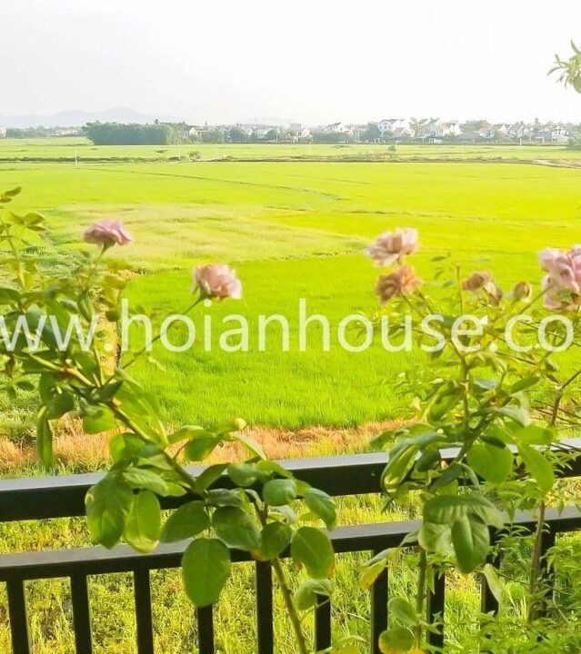 2 Bedroom Apartment With Great View To The Paddy Field For Rent In Center Hoi An ( 7,5 Million Vnd – Approximately $320)(hah636)
