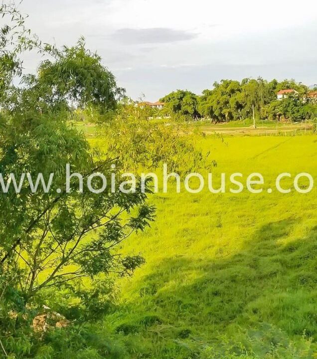 2 Bedroom Apartment With Great View To The Paddy Field For Rent In Center Hoi An ( 7,5 Million Vnd – Approximately $320)(hah636)