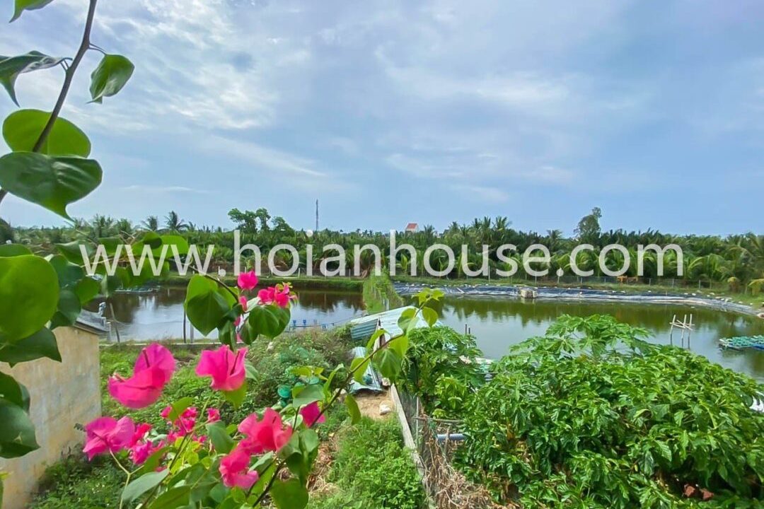 Brand New 1 Bedroom Apartment For Rent In Cam Thanh, Hoi An ( 8 Million Vnd/month Approximately $340)(hah613)