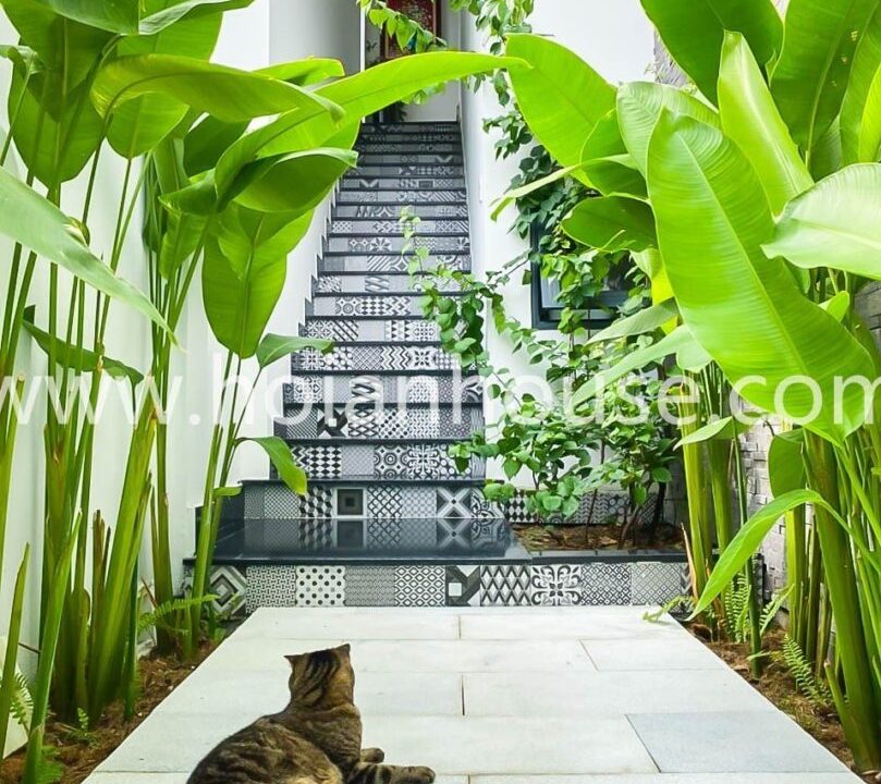 Brand New 1 Bedroom Apartment For Rent In Cam Thanh, Hoi An ( 8 Million Vnd/month Approximately $340)(hah613)