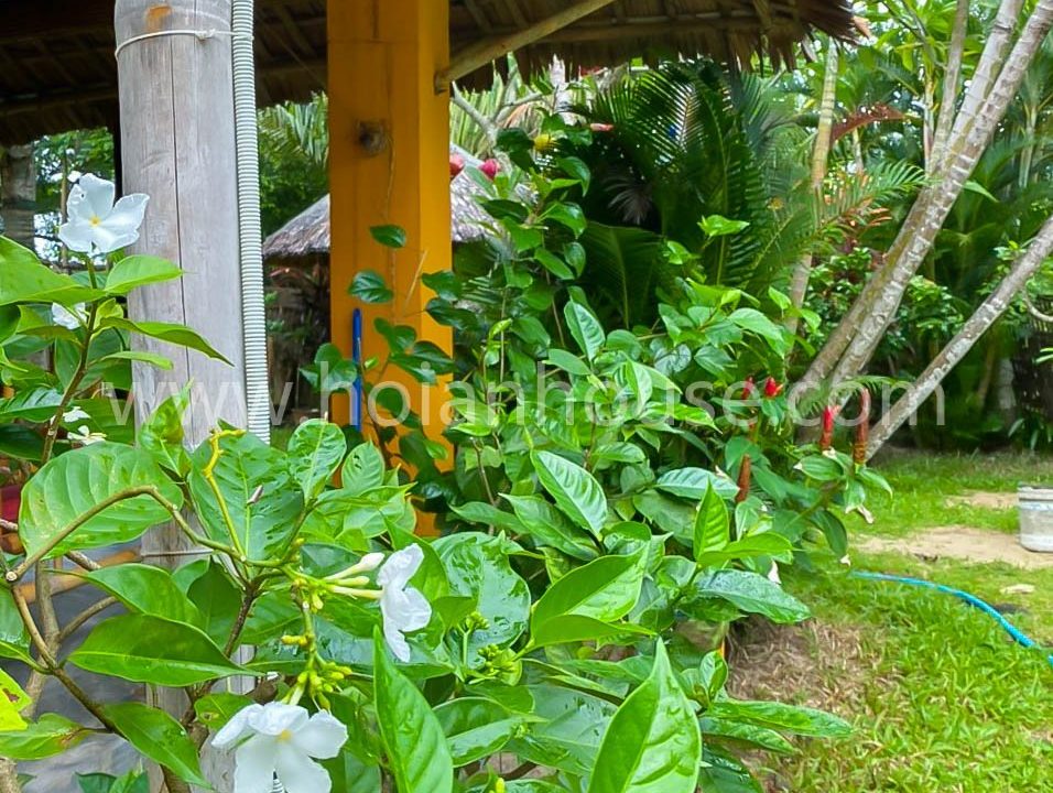 1 Bedroom Bungalow For Rent At An Bang Beach, Hoi An (hah647).