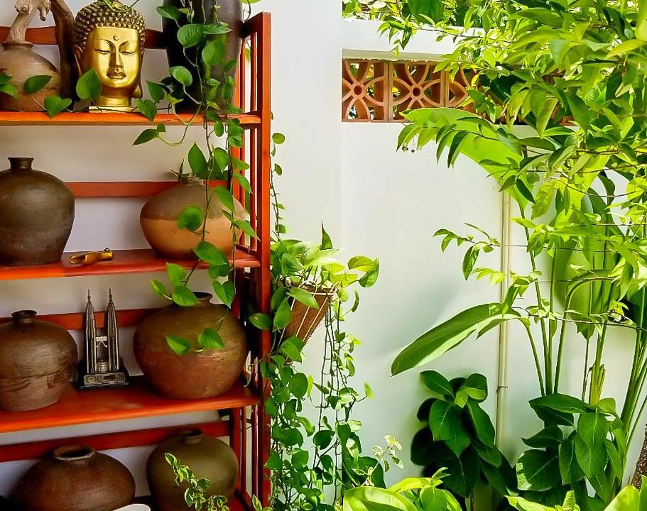 2 Bedroom, 1 Bathroom Apartment For Rent In Cam Thanh, Hoi An (hah652)