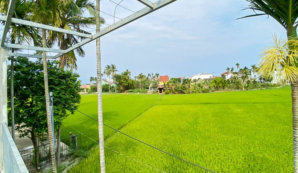 (hah676) Beautiful 3 Bedroom House With A Private Saltwater Pool For Rent In Hoi An.