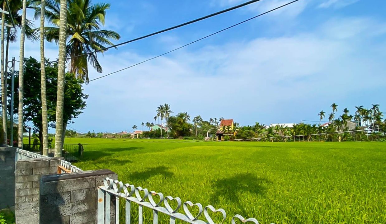 (hah676) Beautiful 3 Bedroom House With A Private Saltwater Pool For Rent In Hoi An.